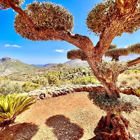 Villa Vh Costablanca - Calima Benissa