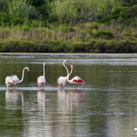 ヴィラ Vh Costablanca - Calima ベニッサ